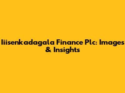 Iiisenkadagala Finance Plc: Images & Insights
